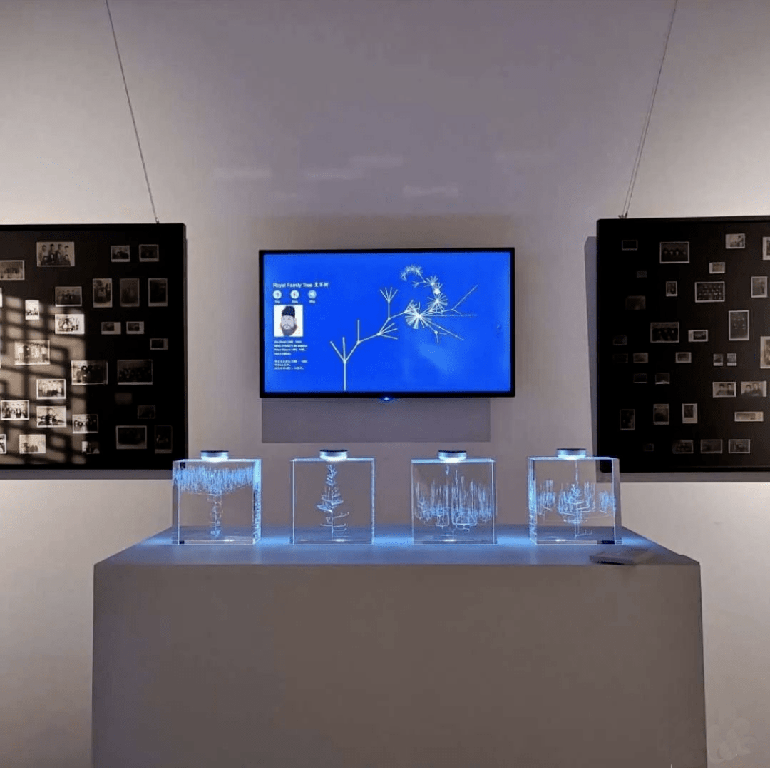 Crystal family-tree installation