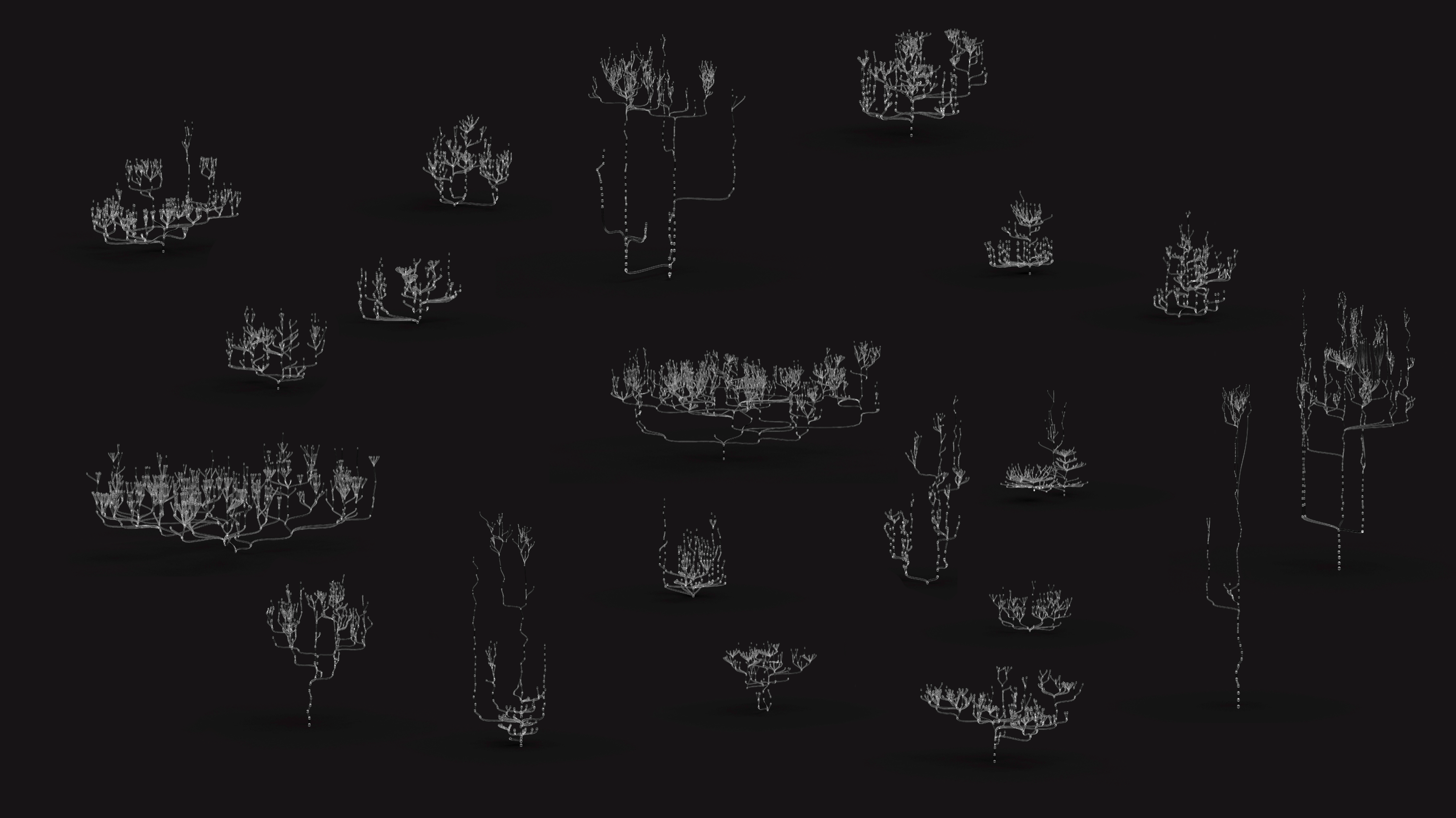 Historical family trees rendered as relationship systems