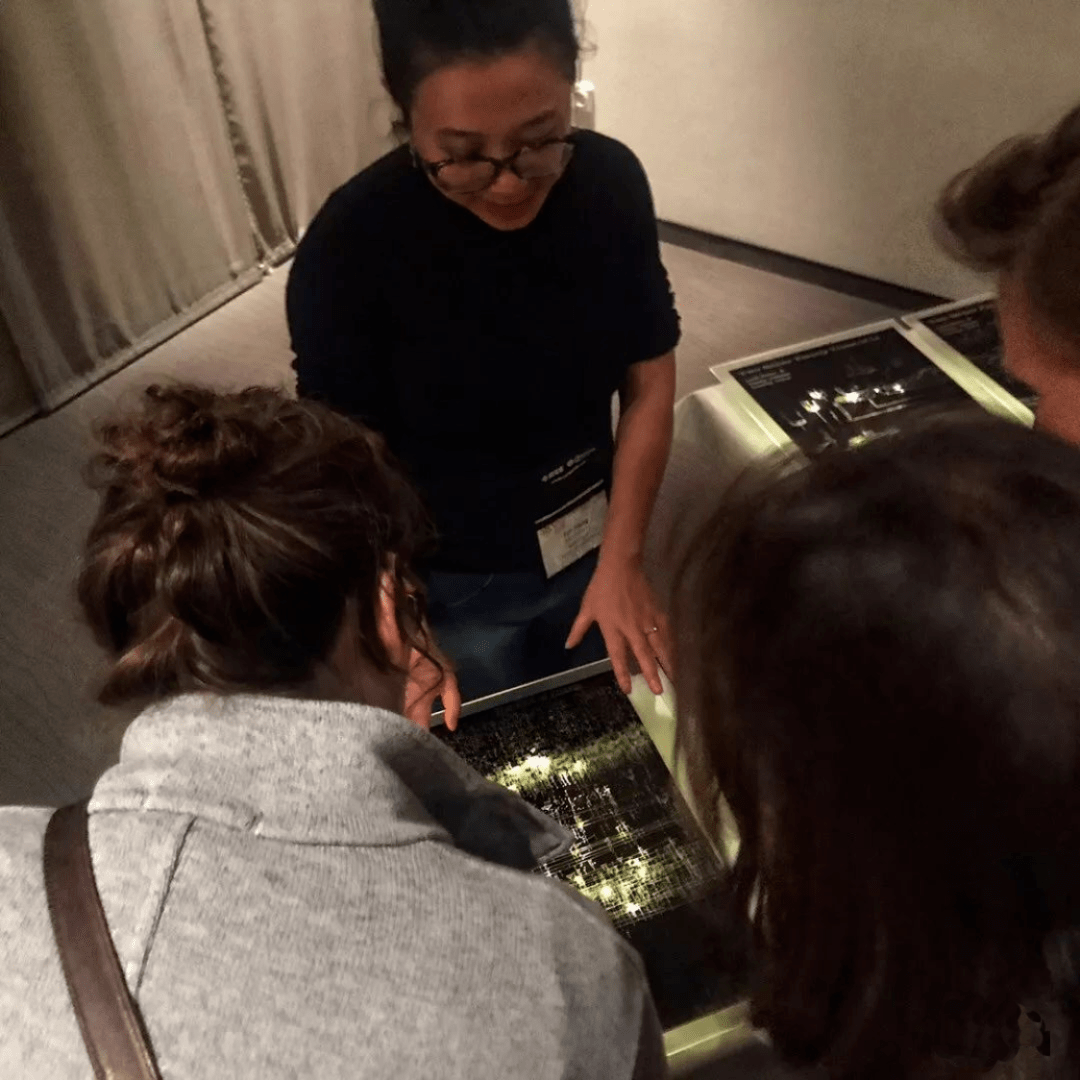 Enhanced Family Tree at IEEE VISAP 2018